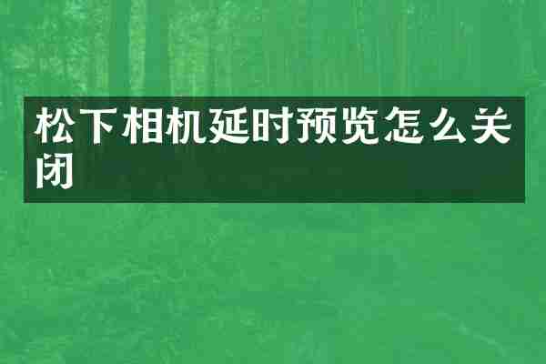 松下相机延时预览怎么关闭