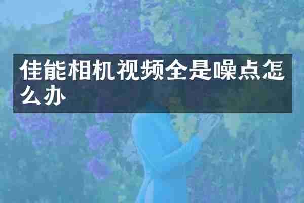 佳能相机视频全是噪点怎么办