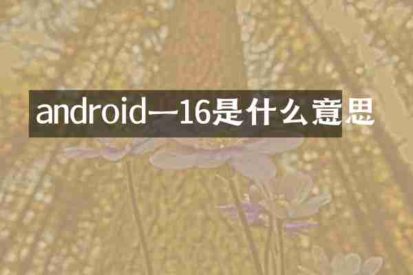 android一16是什么意思
