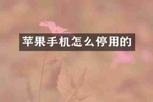 苹果手机怎么停用的