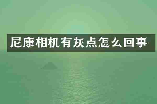 尼康相机有灰点怎么回事