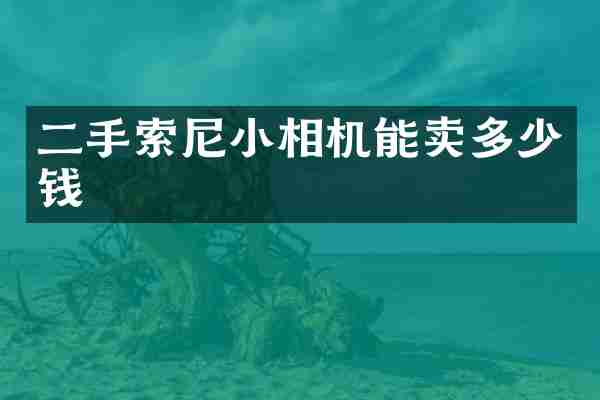 二手索尼小相机能卖多少钱