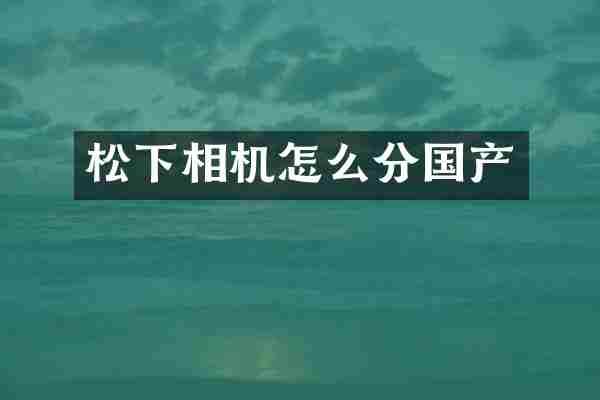 松下相机怎么分国产
