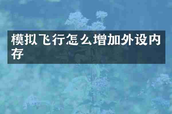 模拟飞行怎么增加外设内存
