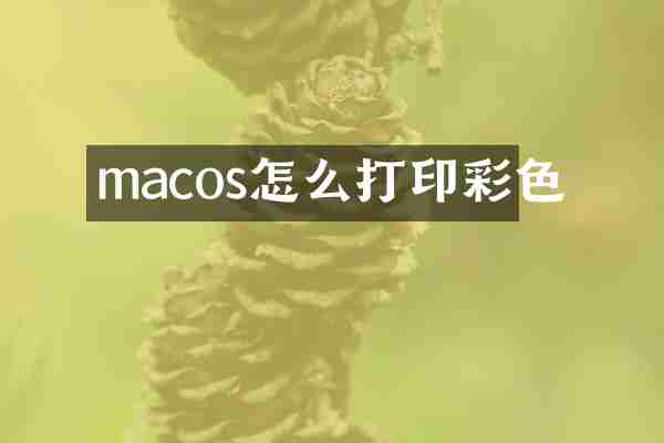 macos怎么打印彩色