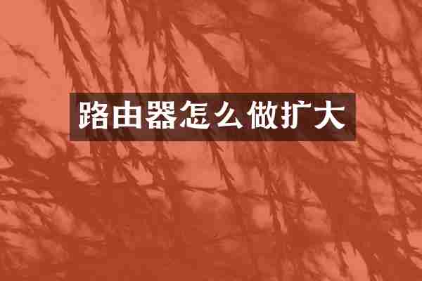 路由器怎么做扩大