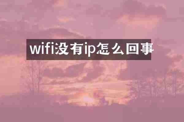 wifi没有ip怎么回事