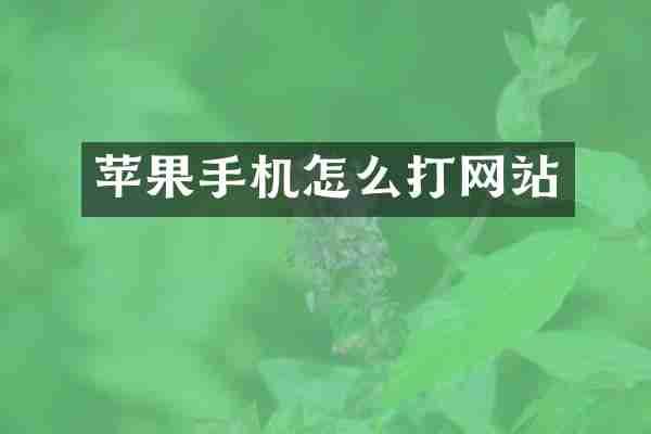 苹果手机怎么打网站