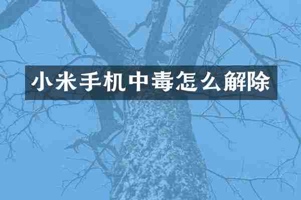 小米手机中毒怎么解除