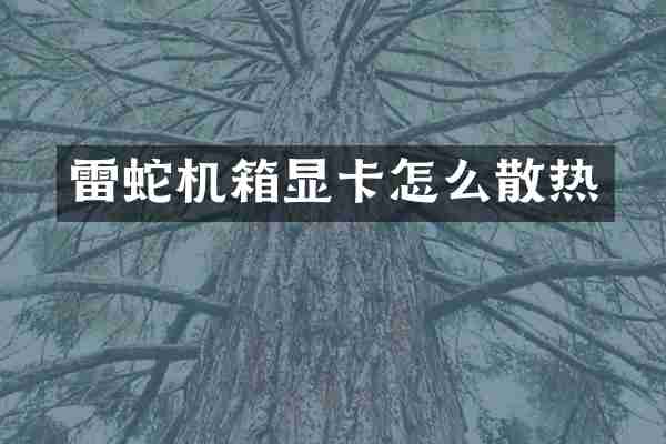 雷蛇机箱显卡怎么散热