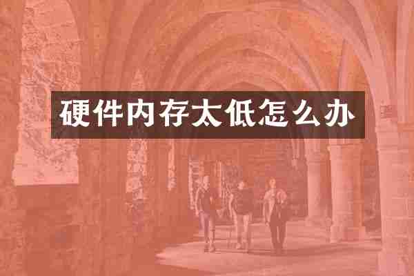 硬件内存太低怎么办