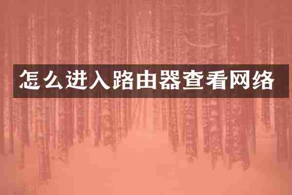 怎么进入路由器查看网络