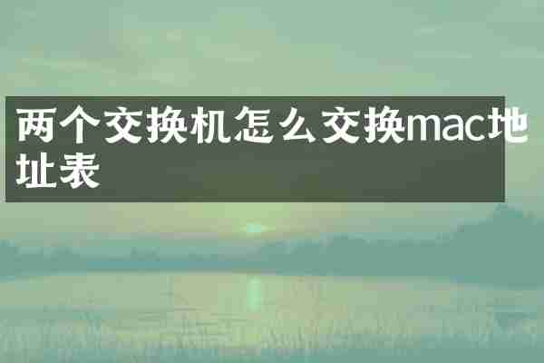 两个交换机怎么交换mac地址表