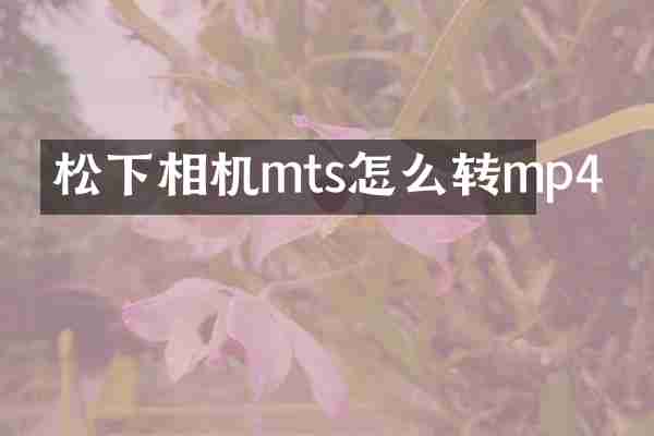 松下相机mts怎么转mp4