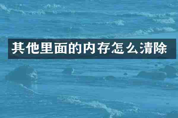 其他里面的内存怎么清除
