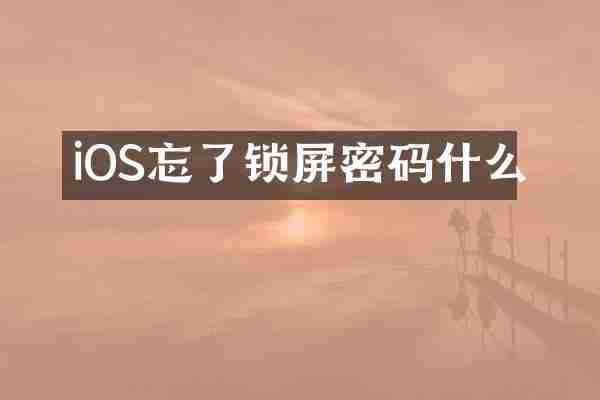 iOS忘了锁屏密码什么