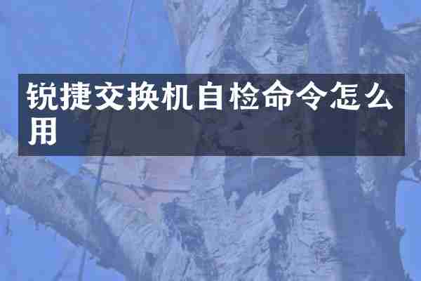 锐捷交换机自检命令怎么用