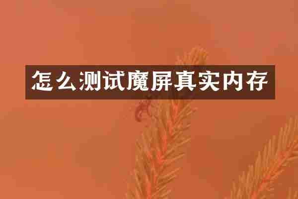 怎么测试魔屏真实内存