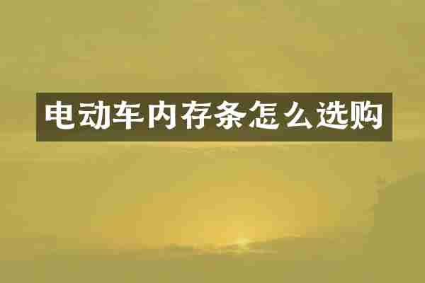 电动车内存条怎么选购