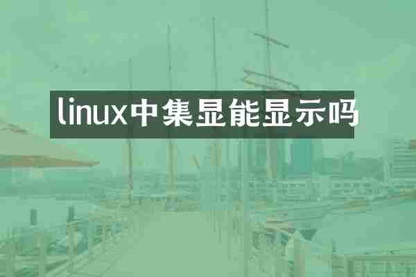 linux中集显能显示吗
