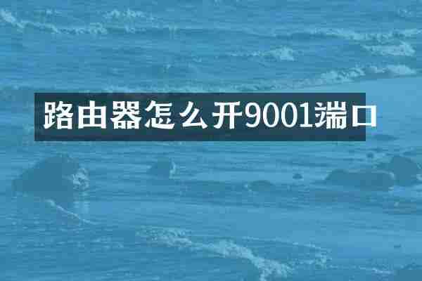 路由器怎么开9001端口