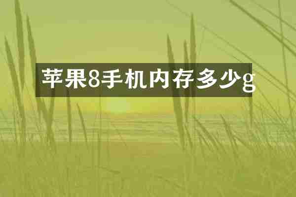 苹果8手机内存多少g