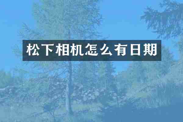松下相机怎么有日期