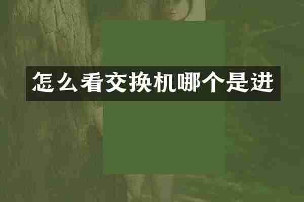 怎么看交换机哪个是进
