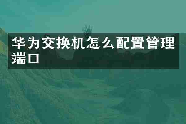 华为交换机怎么配置管理端口