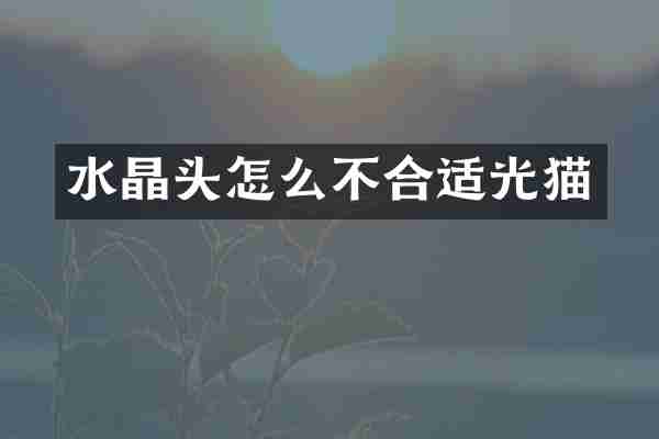 水晶头怎么不合适光猫