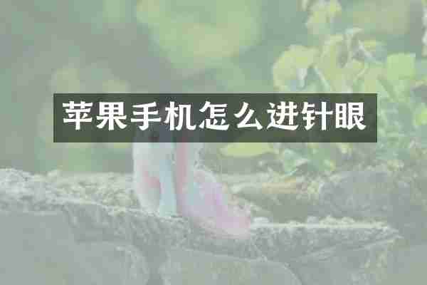 苹果手机怎么进针眼