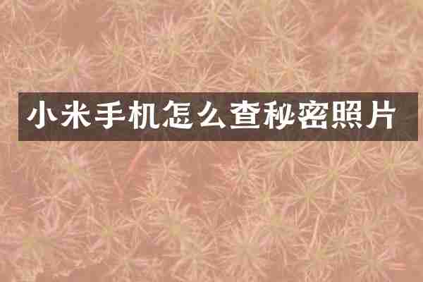 小米手机怎么查秘密照片