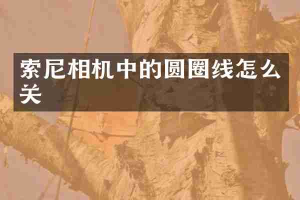 索尼相机中的圆圈线怎么关
