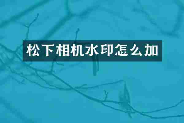 松下相机水印怎么加