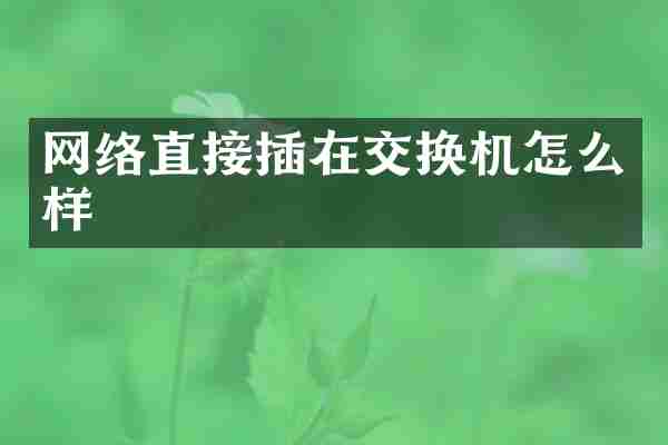 网络直接插在交换机怎么样