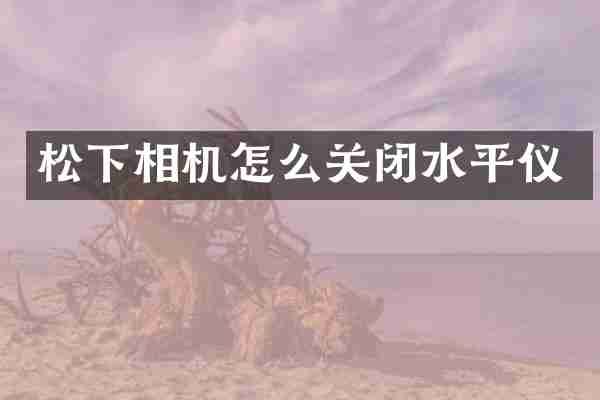 松下相机怎么关闭水平仪