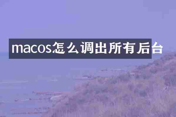 macos怎么调出所有后台