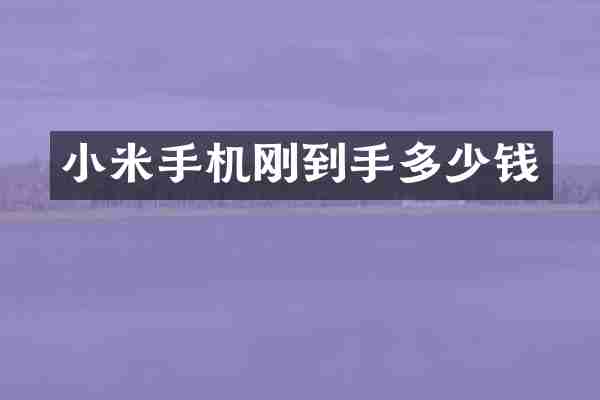 小米手机刚到手多少钱