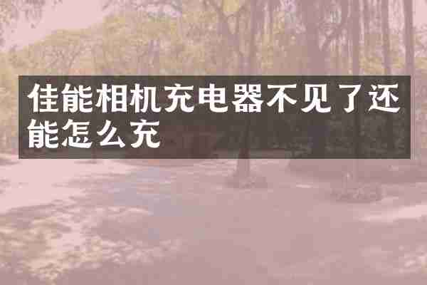 佳能相机充电器不见了还能怎么充