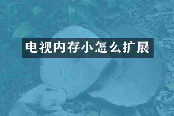 电视内存小怎么扩展