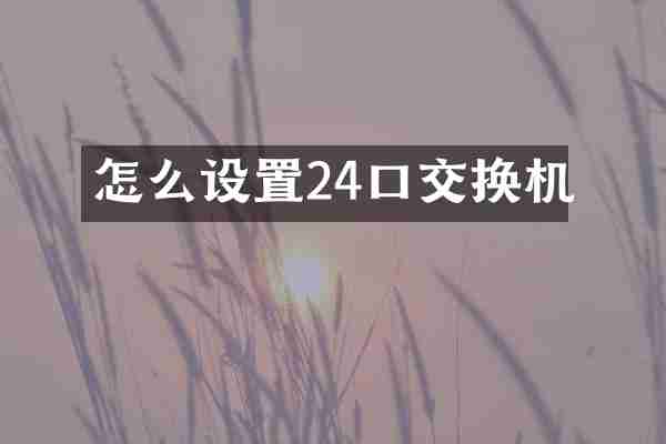 怎么设置24口交换机