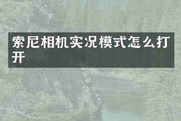 索尼相机实况模式怎么打开