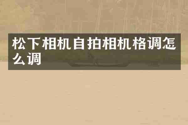 松下相机自拍相机格调怎么调