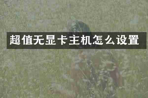 超值无显卡主机怎么设置