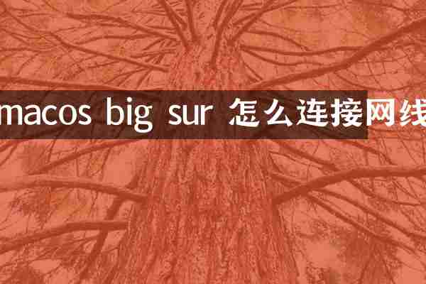 macos big sur 怎么连接网线