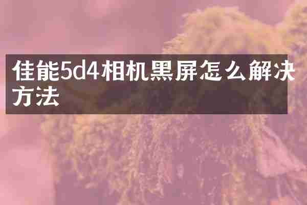 佳能5d4相机黑屏怎么解决方法