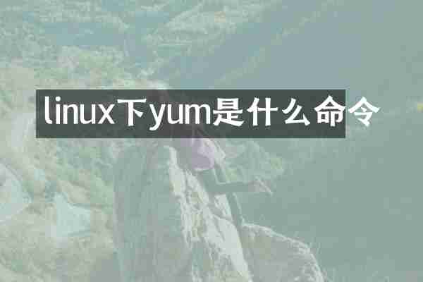 linux下yum是什么命令