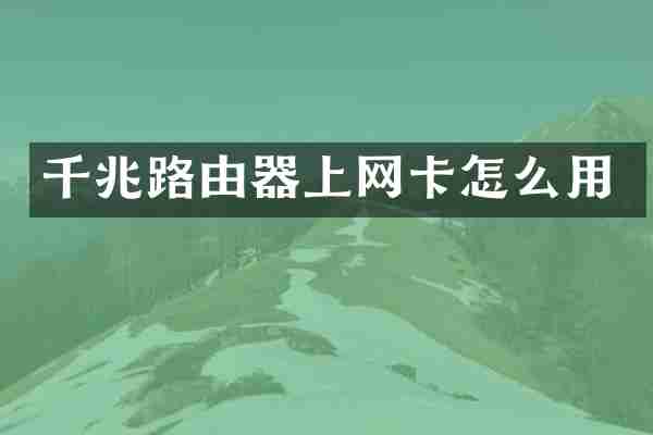 千兆路由器上网卡怎么用