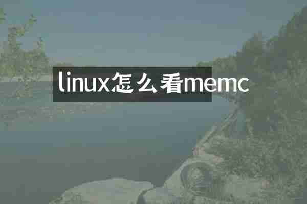 linux怎么看memc