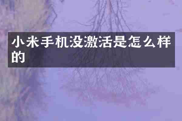 小米手机没激活是怎么样的